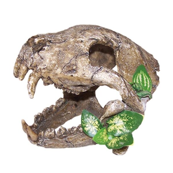 Urs Skull w/ Big Canines Reptile Enclosure Accessory Large