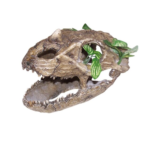 Urs Skull w/ Small Teeth Reptile Enclosure Accessory Large