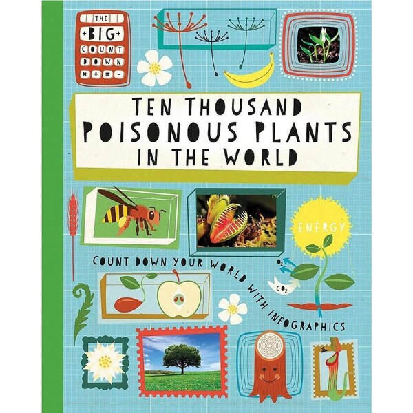 The Big Countdown Children's Book