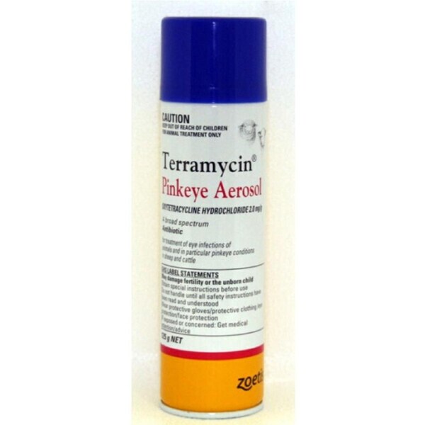 Terramycin Pinkeye Infection Antibiotic Aerosol for Cattle 125g