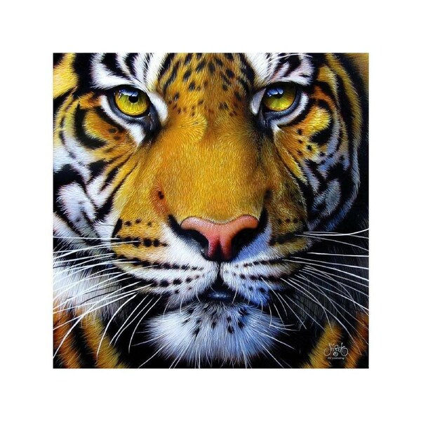 Golden Tiger Face Jigsaw Puzzle 1000 Pieces