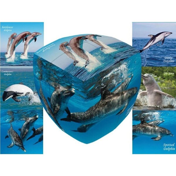 V-Cube Dolphins 2x2 Pillow Twisty Cube Puzzle