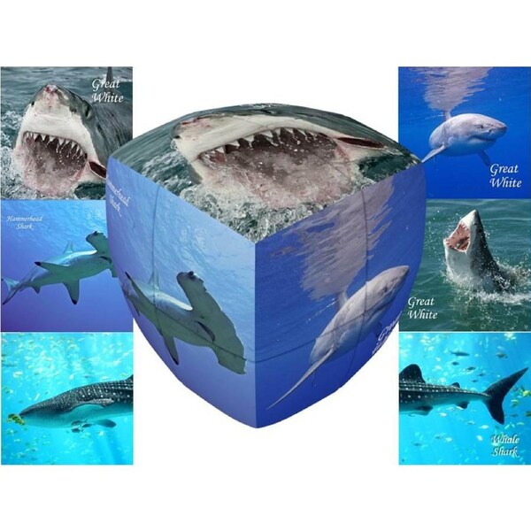 V-Cube Sharks 2x2 Pillow Twisty Cube Puzzle