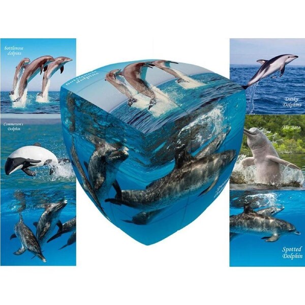 V-Cube Dolphins 3x3 Pillow (VCU001781)
