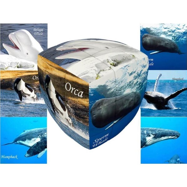 Vcube Whales 3x3 Pillow Cube Puzzles Brain Teaser Puzzle