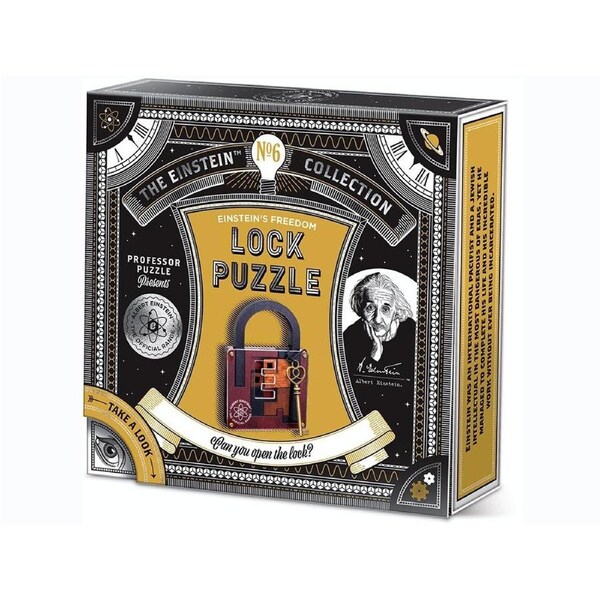 Professor Puzzle Einsteins Lock Puzzle Strategy Educational Game