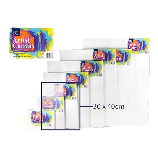 20x Artist Blank Canvas Oil Acrylic Painting 30X40 Stretched Canvases Wood Art