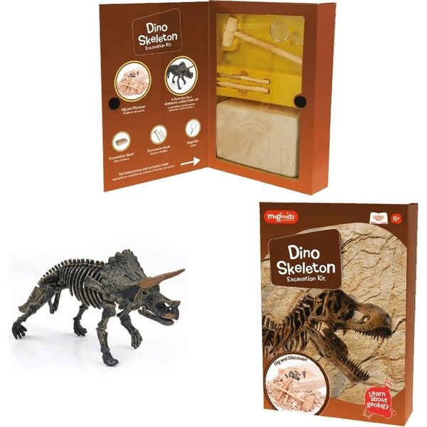 Magnoidz Dino Skeleton Excavation Kit Kids/Children Dinosaur Digging Toy 6y+