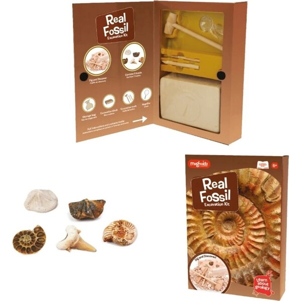 Magnoidz Fossil Dig Kit Kids/Children Educational Science Paleontology Toy 6y+