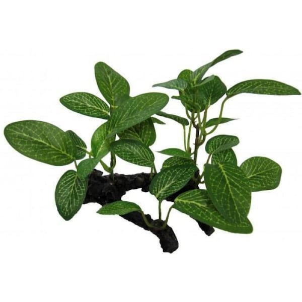 Amazon Jungle African Shade Leaf On Log 10cm Cpp21