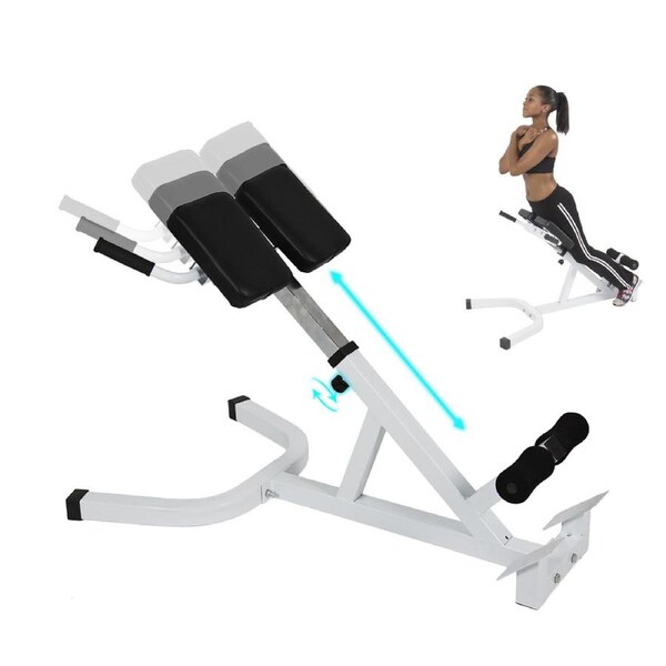 Hyperextension - 45 Degree Roman Chair - Back Hyper / Abdominal Exercise