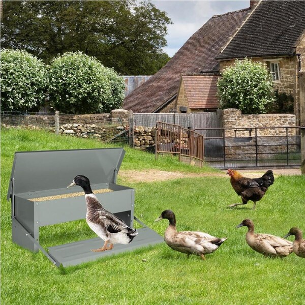 5kg PaWz Chicken Bird Feeder