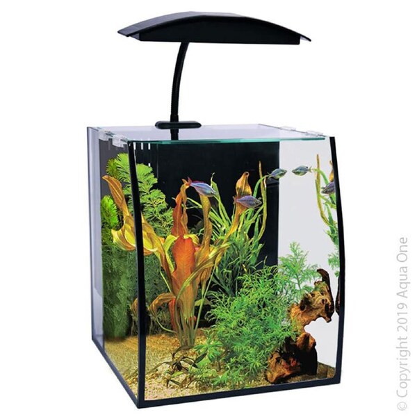 Aqua One Arc 16 Glass Aquarium Set 16L 56235