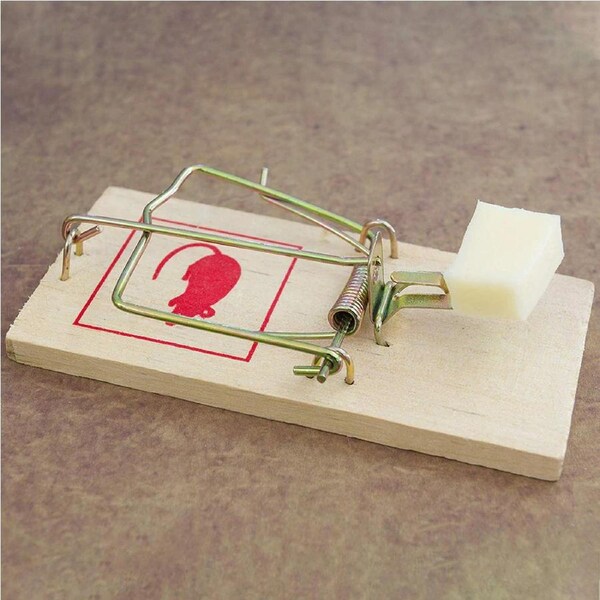 10x Large Wooden Mouse Trap Reusable Mice Rat Snare Catcher Rodent Pest Traps