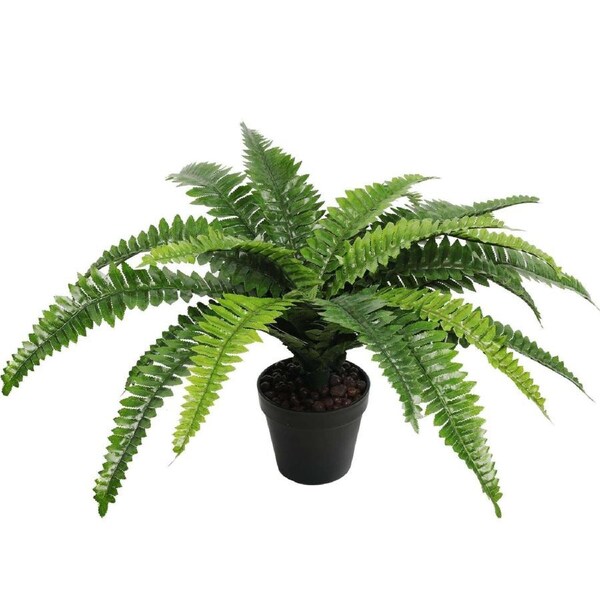 Potted Natural Green Artificial Boston Fern (50cm high 70cm wide)