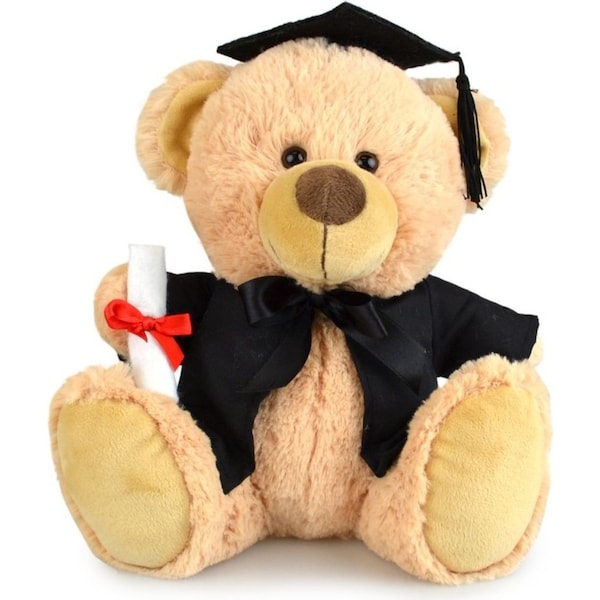 My Buddy Bear 23cm Buddy Graduation Bear Kids Soft Plush Stuffed Toy Brown 3y+