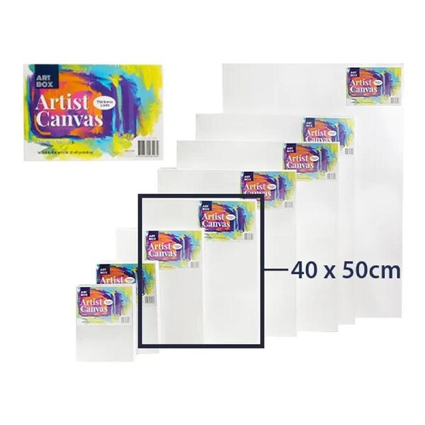 12x Large Thick Artist Blank Canvas Oil Acrylic Painting 40X50 Stretched Art