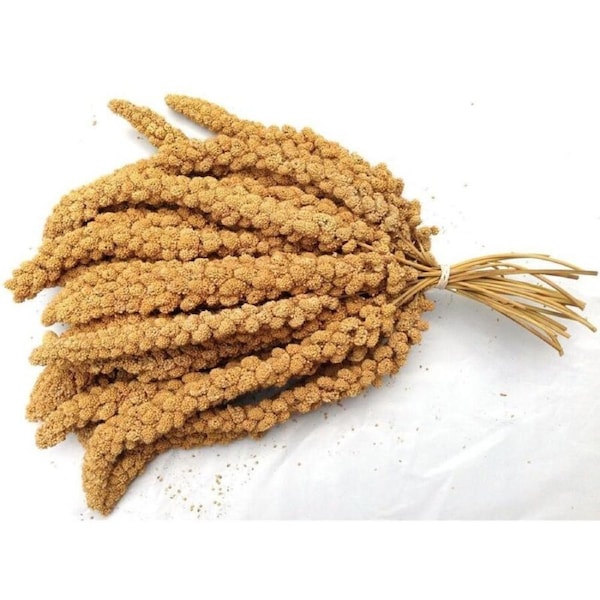 Millet Spray 1kg