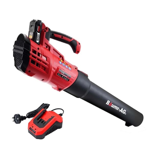 Baumr-AG 20V Electric Leaf Blower Hand-held Cordless Blower Garden Tool, 2Ah Battery with Charger