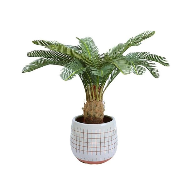 82cm Potted Cycas Home Decor Artificial Faux Fake Plant Indoor Garden Office AU