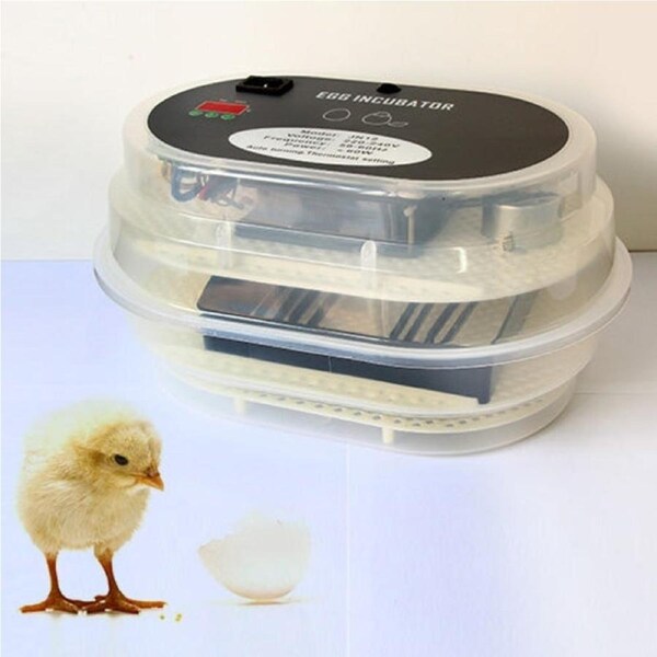 JANOEL Digital 12 Eggs Incubator Poultry Turner Thermometer Kit Fully Automatic