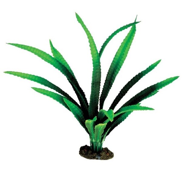 30cm Large African Onion Aquarium Plant Silk For Fish Tanks And Aquariums by Aqua One
