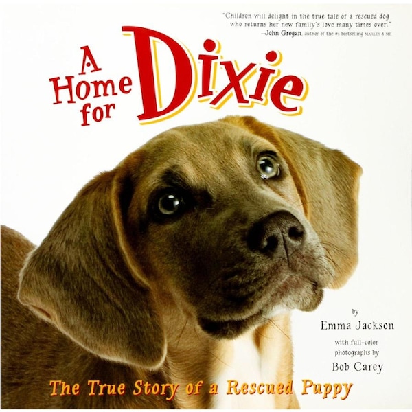 A Home for Dixie: The True Story of a Rescued Puppy - Paperback Children's Book