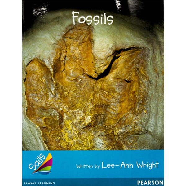 Fossils -Lee-Ann Wright Paperback Children's Book