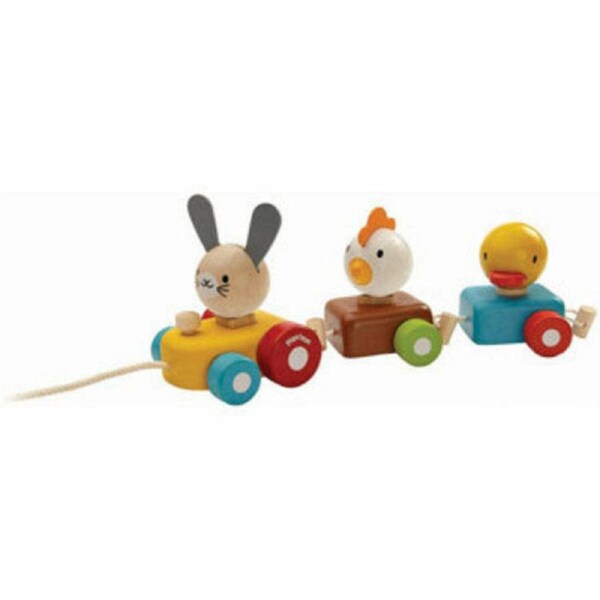 Plan Toys Animal Train Sorter