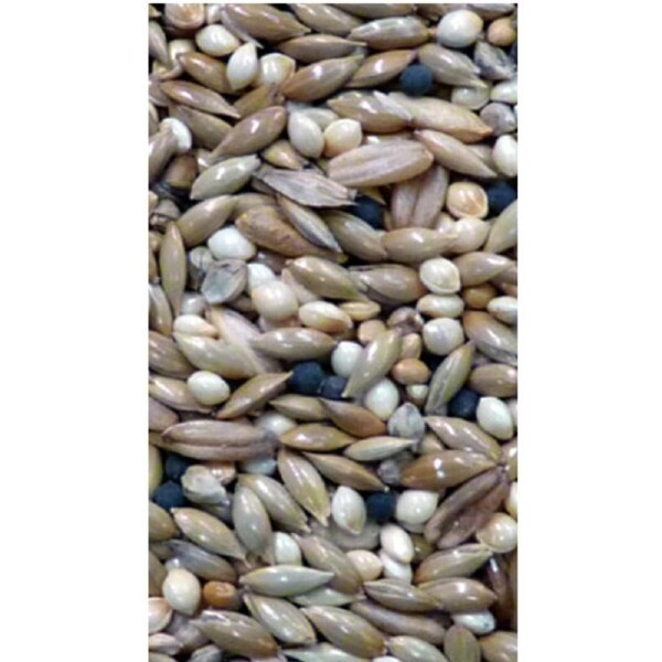 Avigrain Canary Mix 2.5kg Portion