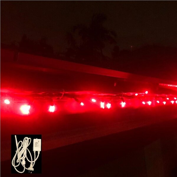 String Lights RED 10m Green wire with Controller