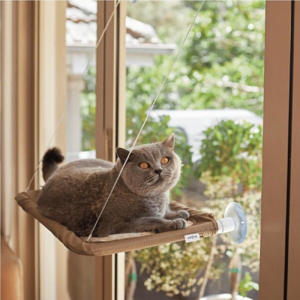 The Lookout Deluxe Window Cat Bed