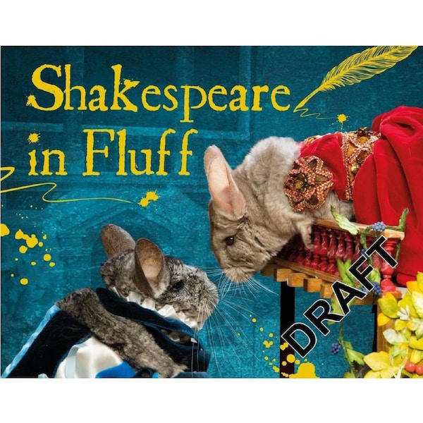 Shakespeare in Fluff Boxtree Hardcover Book