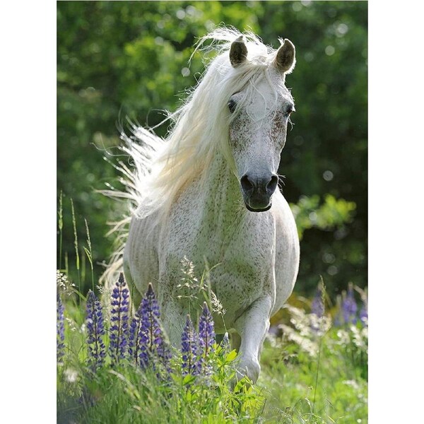 Ravensburger - Horse in Flowers Puzzle 100pc