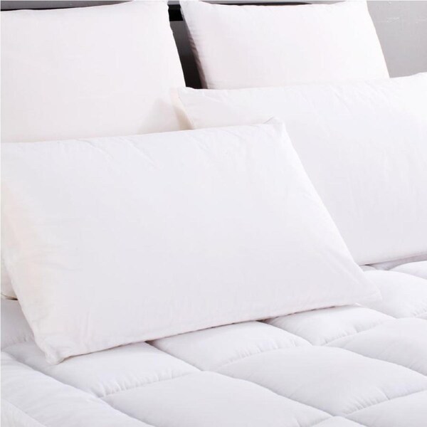 Ramesses Sustainable and Soft Natural Comfort Tencel Pillow Twin Pack Twin Pack