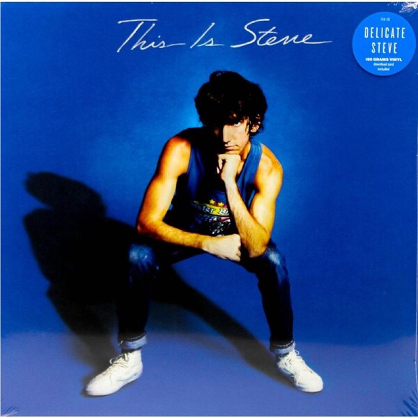 Delicate Steve ?– This Is Steve Vinyl Record New Music Album