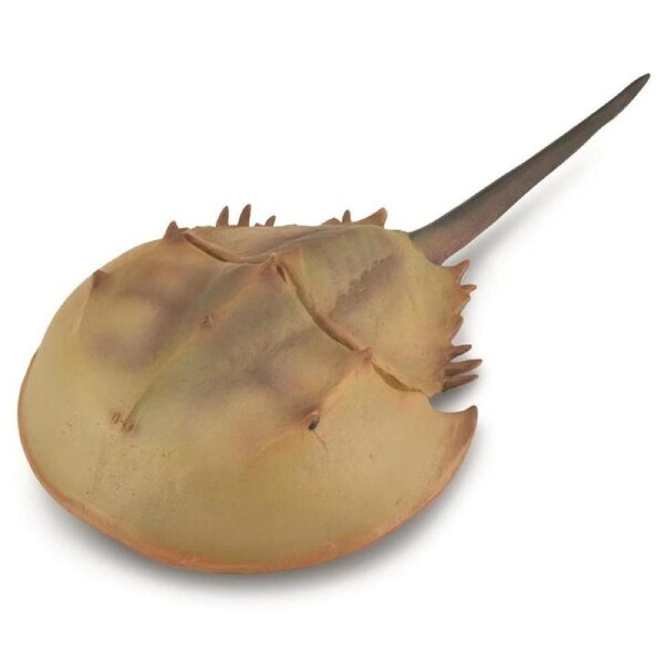 Collecta - Horseshoe Crab 88905