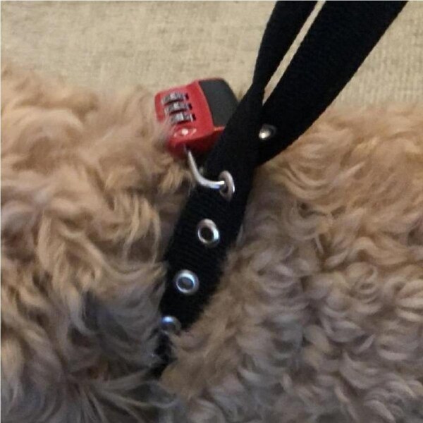 Anti-Theft Dog Lead Super Lock Up Lead Non-Chew with Padlock 150cm