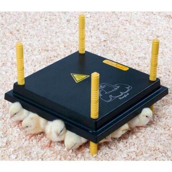 Comfort Chick/Brooder Chickplate Heating Plate 13Watts 25cm x 25cm