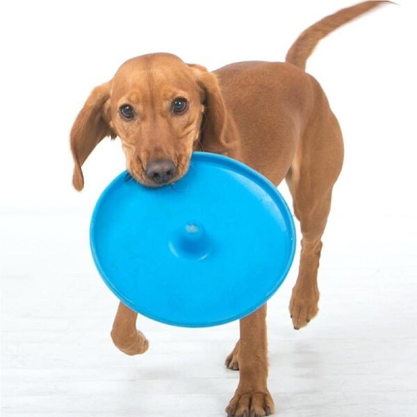 Dog Puppy Fetch Training Toy Flying Disc Frisbee Pet - Assorted Colours