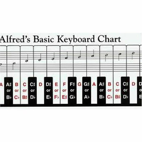Alfred's Basic Keyboard Chart, Two Sided Fold Out 5 Octaves