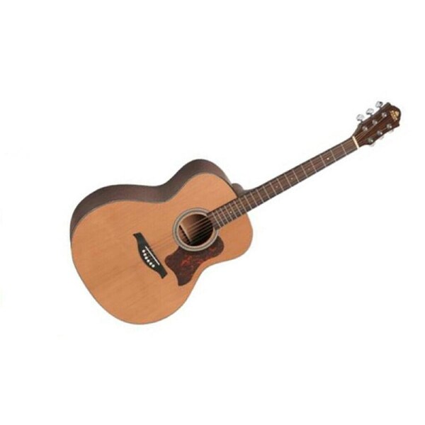 Gilman Auditorium Acoustic Guitar Cedar Top Monogamy Back and Sides