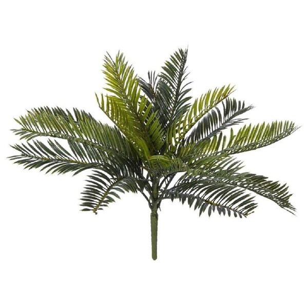 Rogue Cycas Bush Mini 38x36cm Green