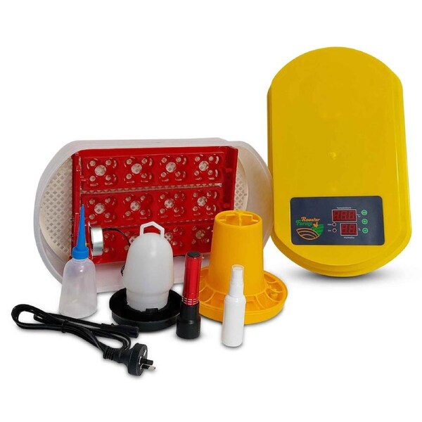 Electric Egg Incubator Digital For Chicken Quail Poultry Birds Eggs 12 Eggs Incubator