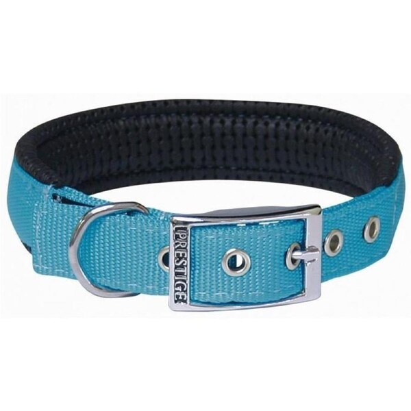 Turquoise Soft Padded Dog Collar - 25mm x 61cm Chrome Plated Buckle (Prestige Pet)