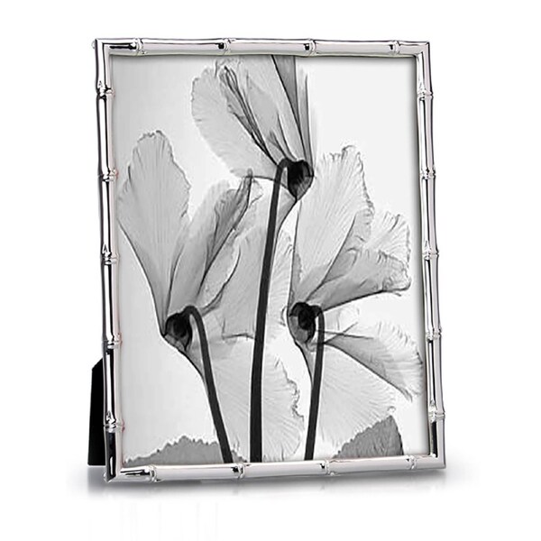 Whitehill Studio - Silver Plated Photo Frame - Bamboo 8x10inch