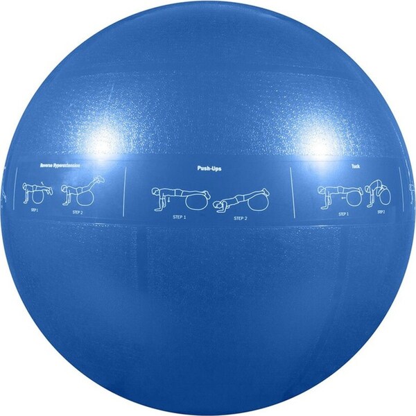 GoFit 55cm Proball Sports Gym Exercise Fitness/Yoga Training Stability Ball Blue
