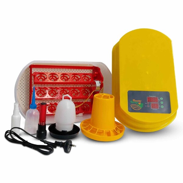 Electric Egg Incubator Digital For Chicken Quail Poultry Birds Eggs 15 Eggs Incubator