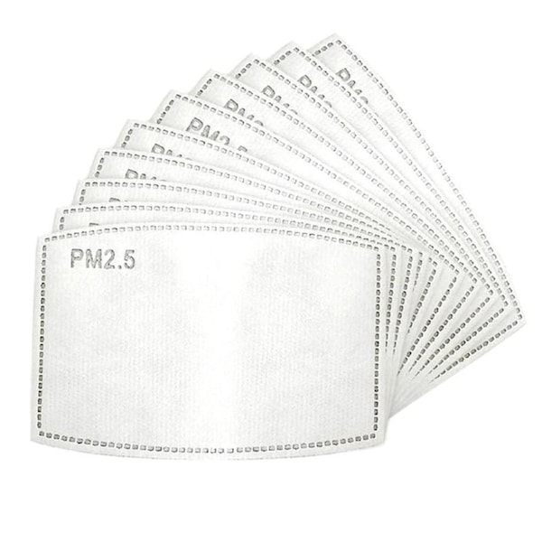 10 Pack Reusable Washable Mask Refill Filters PM2.5