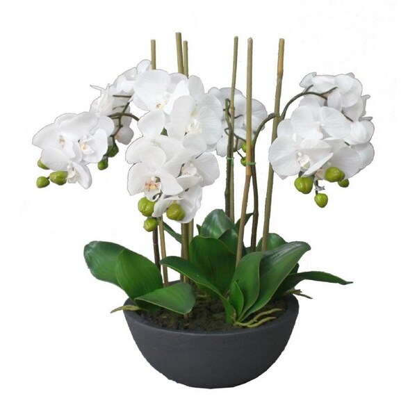 55cm Phalaenopsis Orchid Artificial Plant Flower Decorative In Ceramic Pot - White